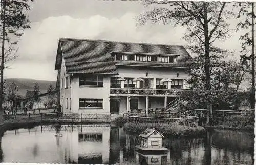 [Ansichtskarte] 3470 HÖXTER - OTTBERGEN, Cafe - Restaurant "Haus Silberteich". 