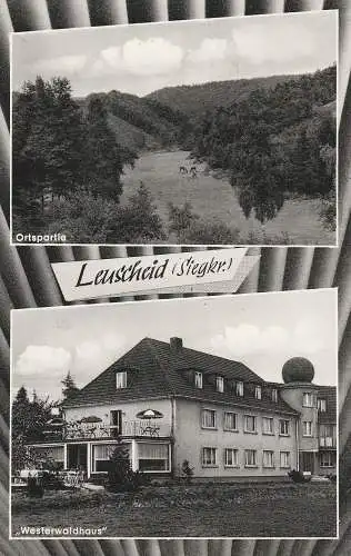 [Ansichtskarte] 5227 WINDECK - LEUSCHEID, Westerwaldhau, Talpartie, 196. 