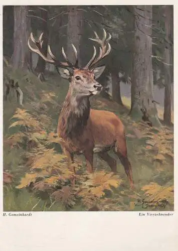 [Ansichtskarte] JAGD / HUNTING - HIRSCH / DEER - Vierzehnender / Fourteen - Pointer, Künstler-Karte H. Gemeinhardt - Garmisch. 