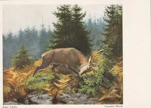 [Ansichtskarte] JAGD / HUNTING - HIRSCH / DEER, "Fegender Hirsch", Künstler - Karte Edgar Schilke. 