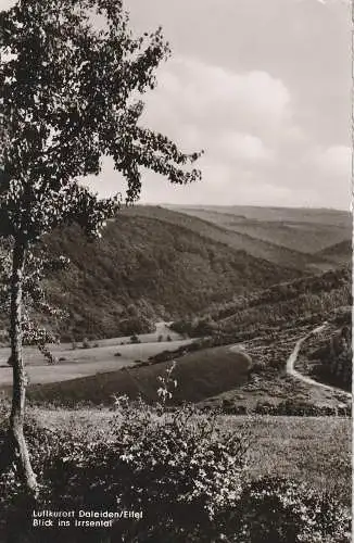 [Ansichtskarte] 5529 DALEIDEN, Blick ins Irssental, 1960. 