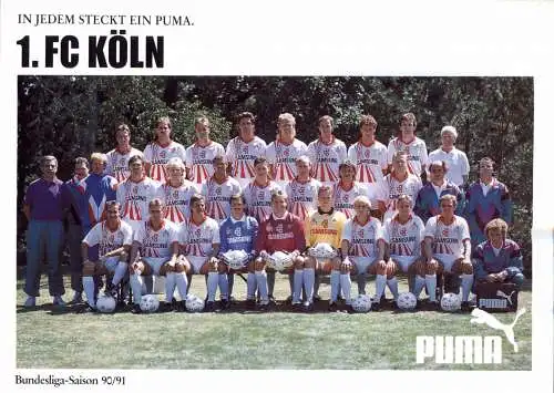 [Ansichtskarte] FUSSBALL - 1.FC KÖLN , Mannschaft 1990 / 91. 