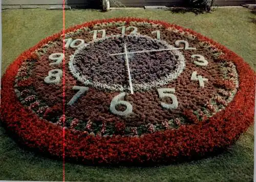 [Ansichtskarte] 8740 BAD NEUSTADT, Blumenuhr / Flower Clock im Kurgarten. 