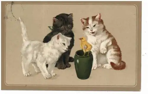 [Ansichtskarte] KATZEN / CATS / CHATS -"SPIELENDE KATZEN", Meissner & Buch, 1913. 