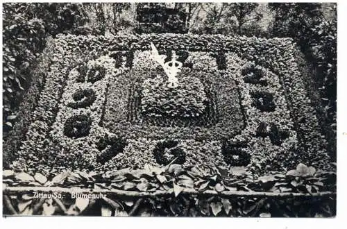 [Ansichtskarte] 0-8800 ZITTAU, Blumenuhr / Flower clock, 1961. 