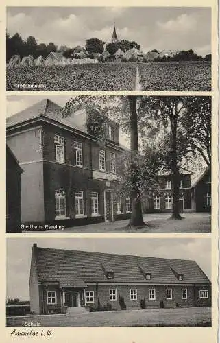 [Ansichtskarte] 4426 VREDEN - AMMELOE, Gasthaus Esseling, Schule, Gesamtansicht. 