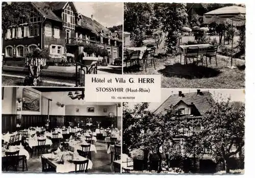 [Ansichtskarte] F 68140 STOSSWIHR, Hotel & Villa G. Herr, 1957. 