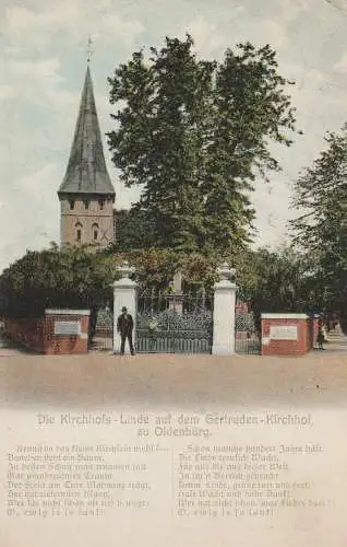 [Ansichtskarte] 2900 OLDENBURG, Die Kirchhofs - Linde auf dem Gertruden - Friedhof, 1908. 