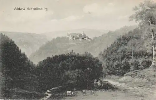 [Ansichtskarte] 5800 HAGEN - HOHENLIMBURG,  Blick auf das Schloß, Verlag Hülsberg. 