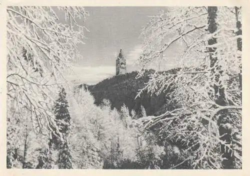 [Ansichtskarte] 1000 BERLIN - GRUNEWALD, Grunewaldturm im Schnee. 