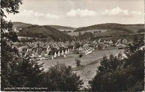 [Ansichtskarte] 5778 MESCHEDE - FREIENOHL, Neubaugebiet. 