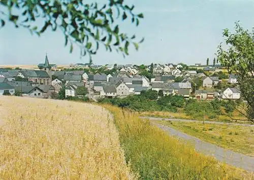 [Ansichtskarte] 5590 COCHEM - LIEG, Blick über den Ort. 