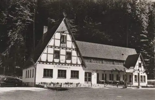 [Ansichtskarte] 4930 DETMOLD - BERLEBECK, Hotel Hirschsprung. 