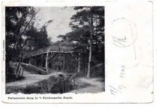 [Ansichtskarte] UTRECHT - DRIEBERGEN, Zwitsersche Brug in 't Driebergsche Bosch, Bahnpost / TPO / Ambulant Rotterdam - Emmerich, 1903. 