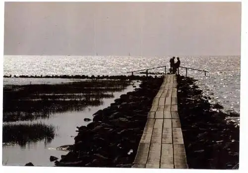 [Ansichtskarte] 2859 NORDHOLZ - SPIEKA, Cappel - Neufeld, Abenddämmerung. 