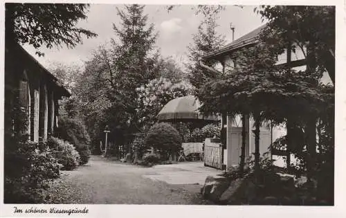 [Ansichtskarte] 5300 BONN - DOTTENDORF, Im schönen Wiesengrunde. 