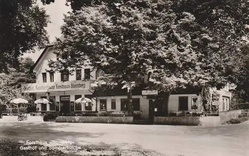 [Ansichtskarte] 4933 BLOMBERG, Gasthof Forsthaus "Blomberg". 