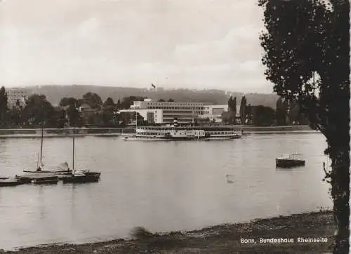 [Ansichtskarte] BINNENSCHIFFE - RHEIN, Köln - Düsseldorfer "VATERLAND" vor dem Bonner Bundeshaus 1955. 