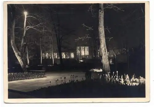 [Ansichtskarte] 7000 STUTTGART, Bundesgartenschau 1939, Der Eingang zum Akazienwäldchen bei Nacht. 