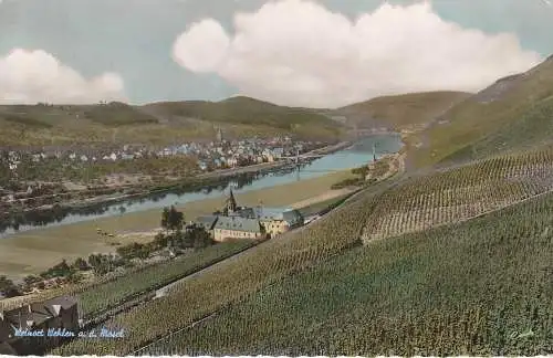 [Ansichtskarte] 5550 BERNKASTEL - KUES - WEHLEN, Blick über die Weinberge, 1964. 