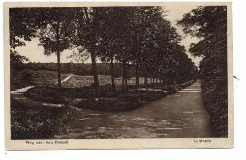 [Ansichtskarte] GELDERLAND - EDE - LUNTEREN, Weg naar den Koepel. 