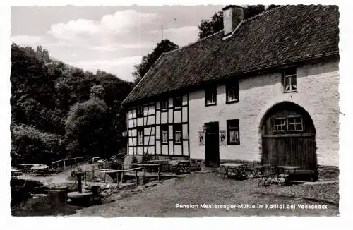 [Ansichtskarte] 5108 MONSCHAU - KALLTAL, Pension Meisterenger - Mühle. 