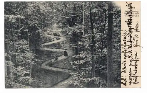 [Ansichtskarte] 4190 KLEVE, Schlangenweg im Tiergartenwald, 1904, Verlag Labs. 