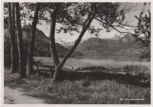 [Ansichtskarte] CH 6060 SARNEN OW, Am Sarnersee. 