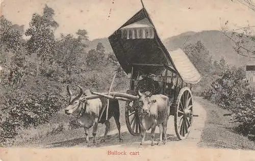 [Ansichtskarte] MALAYSIA / STRAITS SETTLEMENTS, Bullock Cart, Druckstelle. 