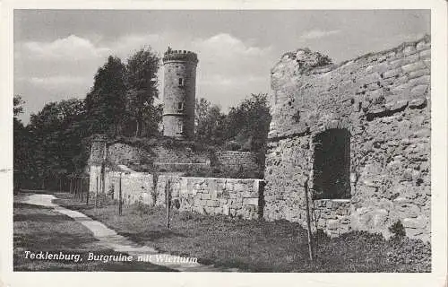 [Ansichtskarte] 4542 TECKLENBURG, Burgruine und Wierturm, Verlag Howe. 