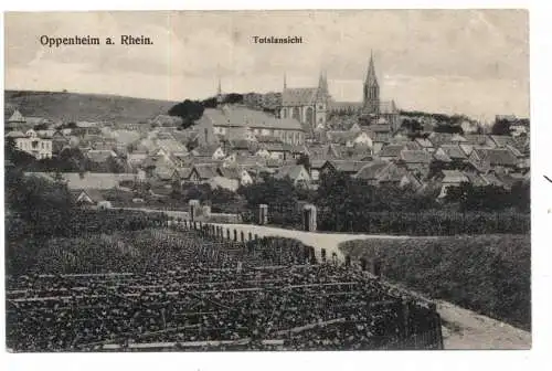 [Ansichtskarte] 6504 OPPENHEIM, Blick aus den Weinreben, 1918. 