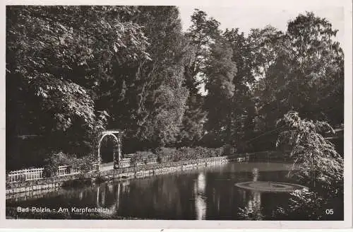 [Ansichtskarte] POMMERN - BAD POLZIN / POLCZYN ZDROY, Am Karpfenteich, rücks. Klebereste. 