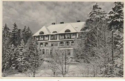 [Ansichtskarte] NIEDER - SCHLESIEN - OBER - SCHREIBERHAU / SZKLARSKA POREBA, Kurheim "Schönblick", Verlag Knips - Haase. 