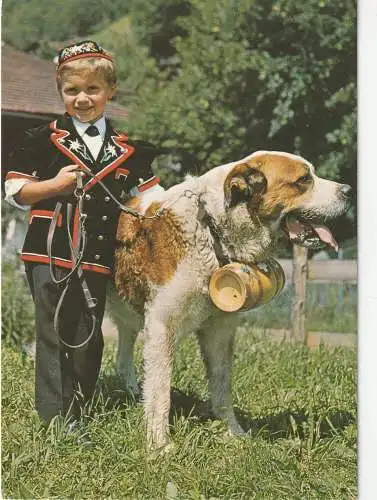 [Ansichtskarte] HUNDE - BERNHARDINER mit Jungen in Schweizer Tracht. 