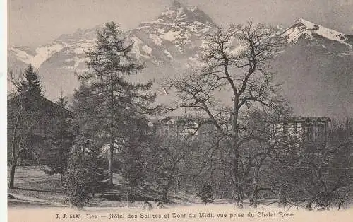 [Ansichtskarte] CH 1880 BEX VD, Hotel des Salines, Chalet Rose. 