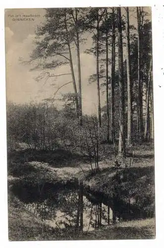 [Ansichtskarte] NOORD BRABANT - BREDA - GINNEKEN, Pu in't mastbosch, 1911. 