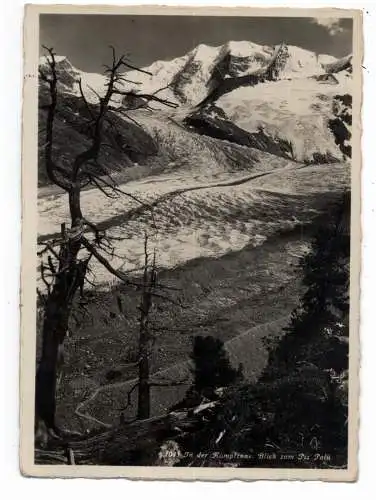 [Ansichtskarte] CH 7504 PONTRESINA GR,In der Kampfzone, Blick zum Piz Palü, 1938. 