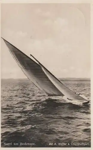 [Ansichtskarte] WASSERSPORT - SEGELN / SAILING - Bodensee 1933. 