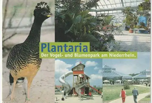 [Ansichtskarte] 4178 KEVELAER, Plantaria. 