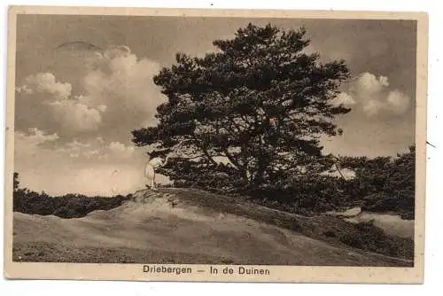 [Ansichtskarte] UTRECHT - DRIEBERGEN, In de Duinen, 1930. 