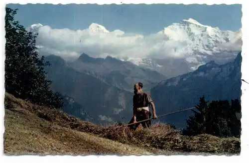 [Ansichtskarte] LANDWIRTSCHAFT - HEUERNTE im Berner Oberland, 1961. 