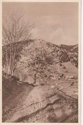 [Ansichtskarte] 7865 TODTMOOS, Blick auf den Ort, WHW 1934/35. 