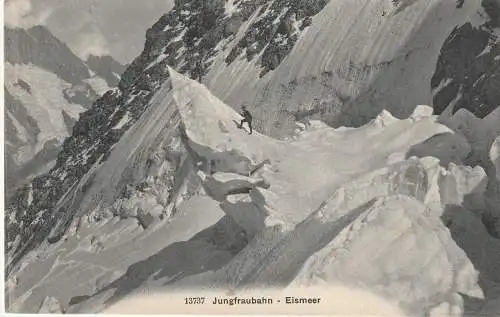 [Ansichtskarte] CH 3818 GRINDELWALD BE, Eismeer, Bergsteiger. 