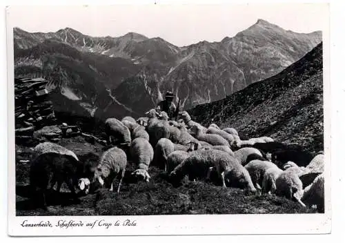 [Ansichtskarte] CH 7078 LENZERHEIDE GR, Schafherde auf Crap la Pula, Verlag Heinze. 