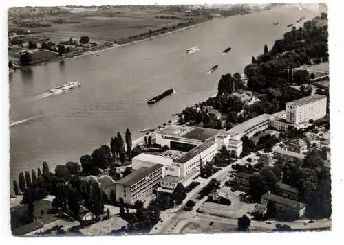 [Ansichtskarte] 5300 BONN - GRONAU, Bundeshaus und Umgebung, Luftaufnahme 1960. 