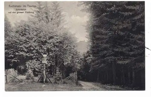 [Ansichtskarte] 6240 KÖNIGSTEIN, Fuchstanz, Durchblick auf den Großen Feldberg, 1906, Verlag Trenkler. 