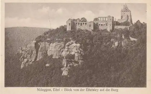 [Ansichtskarte] 5168 NIDEGGEN, Blick von der Eifelsley. 