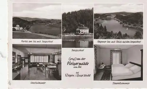 [Ansichtskarte] 8370 REGEN, Seegasthof Neigermühle, 1956. 