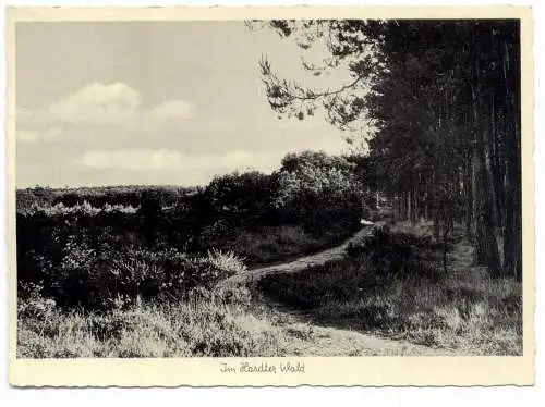 [Ansichtskarte] 4050 MÖNCHENGLADBACH - HARDT, Hardter Wald, 1954. 