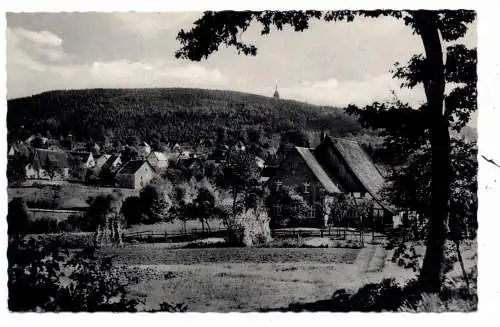 [Ansichtskarte] 4930 DETMOLD - HIDDESEN, Blickauf den Ort und Hermannsdenkmal. 